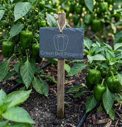 4" Slate Hanging Smart-Sign