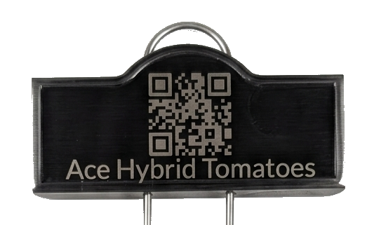 Stainless Steel Plant Smart-Stakes