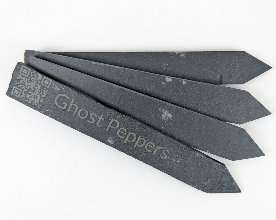 6" Slate Plant Smart-Stake