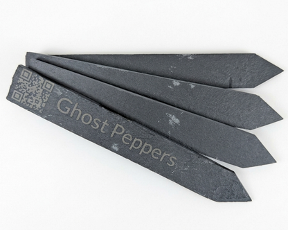 6" Slate Plant Smart-Stake