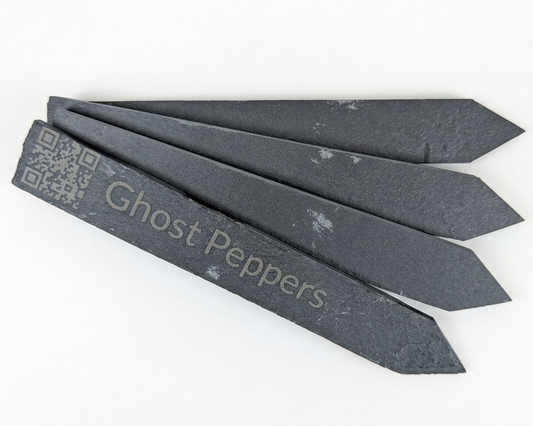 6" Slate Plant Smart-Stake