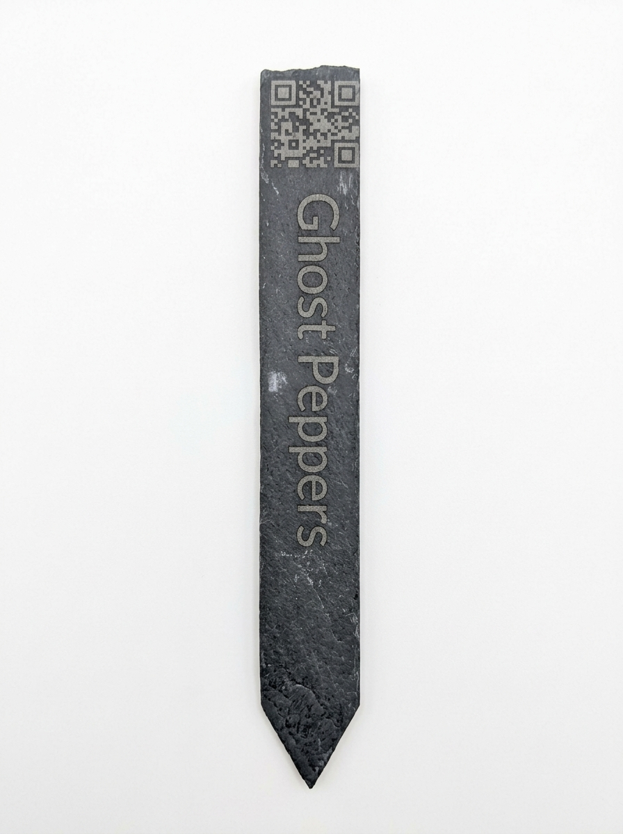 6" Slate Plant Smart-Stake