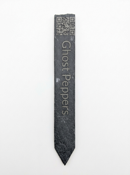 6" Slate Plant Smart-Stake