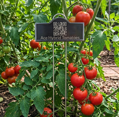 Stainless Steel Plant Smart-Stakes