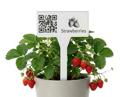 11.8 Inch Plastic Garden Smart-Label And Stakes